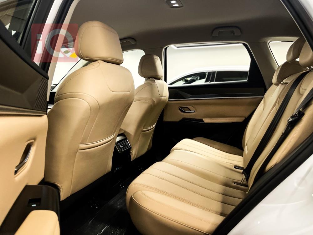 بی وای دی ‎سۆنگ پرۆ DM-i